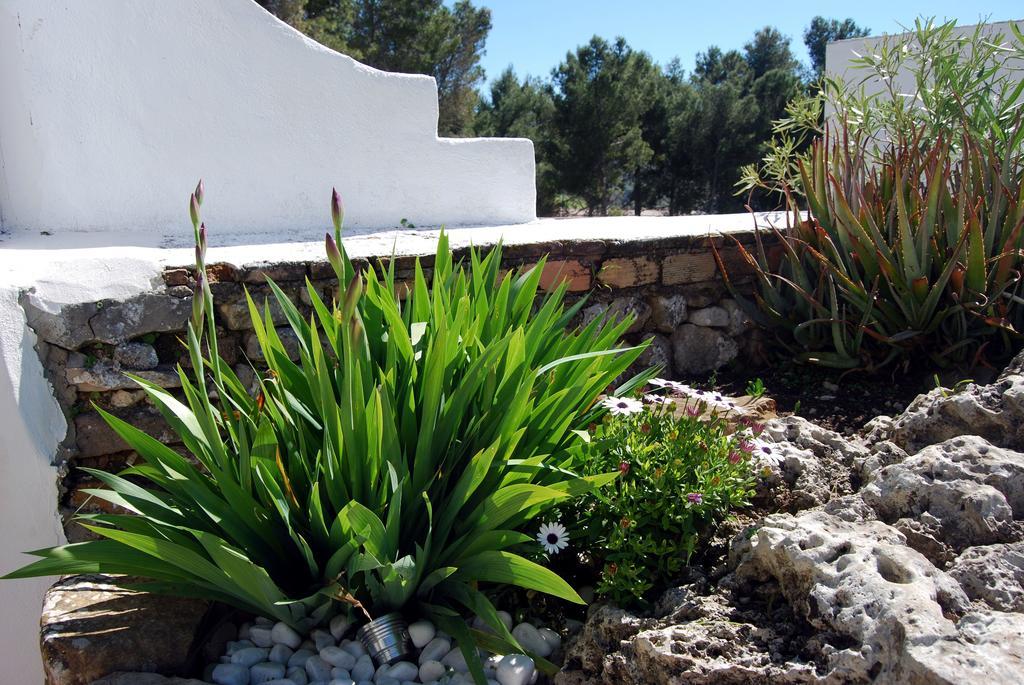 Villa La Roca - A Fusion Of Modern And Typical Andalucian Architecture Montecorto Exterior foto